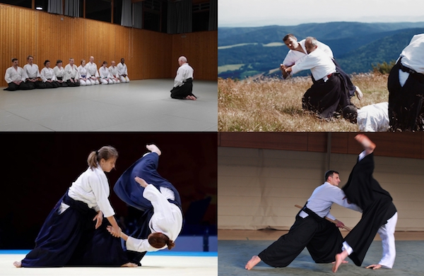 Aikido Workshop